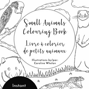 Small animals colouring book, downloadable colouring book, printable colouring book, small pet, animal colouring pages, digital downloads