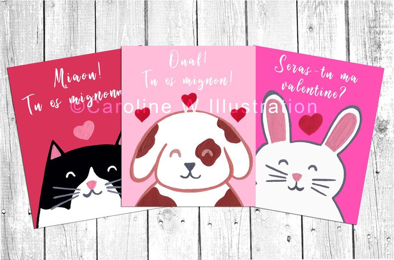 May include: Three Valentine's Day cards featuring a black and white cat, a brown and white dog, and a white rabbit. Each card has a pink background with a heart and the text "Miaon! Tu es mignon!"  "Onal! Tu es mignon!" and "Seras-tu ma valentine?"