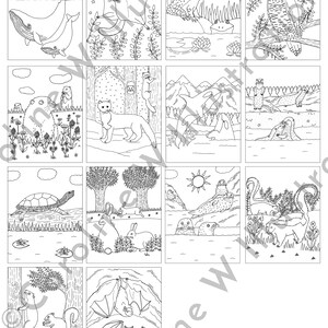 May include: A black and white coloring book featuring a variety of animals in different settings. The animals include a whale, a bat, a squirrel, a turtle, a frog, a seal, a rabbit, a cat, an owl, and a dolphin.