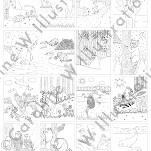 May include: A black and white coloring book featuring illustrations of various animals in a woodland setting. The animals include a deer, a moose, a bear, a raccoon, a beaver, a bird, an owl, a porcupine, and a puffin.
