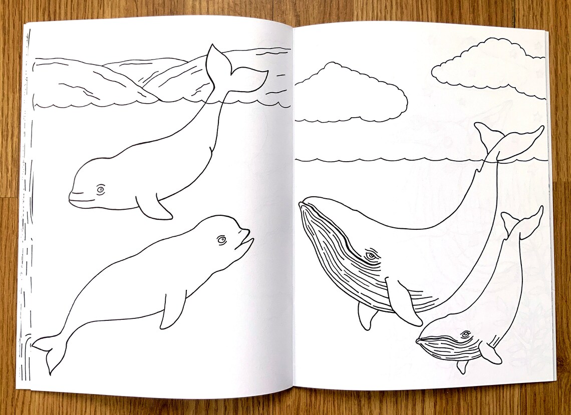 Animal colouring pages colouring book kids kids coloring | Etsy