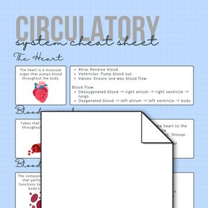 May include: A colorful infographic explaining the circulatory system with illustrations of the heart, blood vessels, and blood cells. The text includes the words "Circulatory System Cheat Sheet", "The Heart", "Blood", "Blood Flow", "Atria", "Ventricles", "Valves", "Deoxygenated Blood", "Oxygenated Blood", "Tubes that transport blood throughout the body", "The components that perform vital functions to the body's cells", "The heart pumps blood in two circuits".