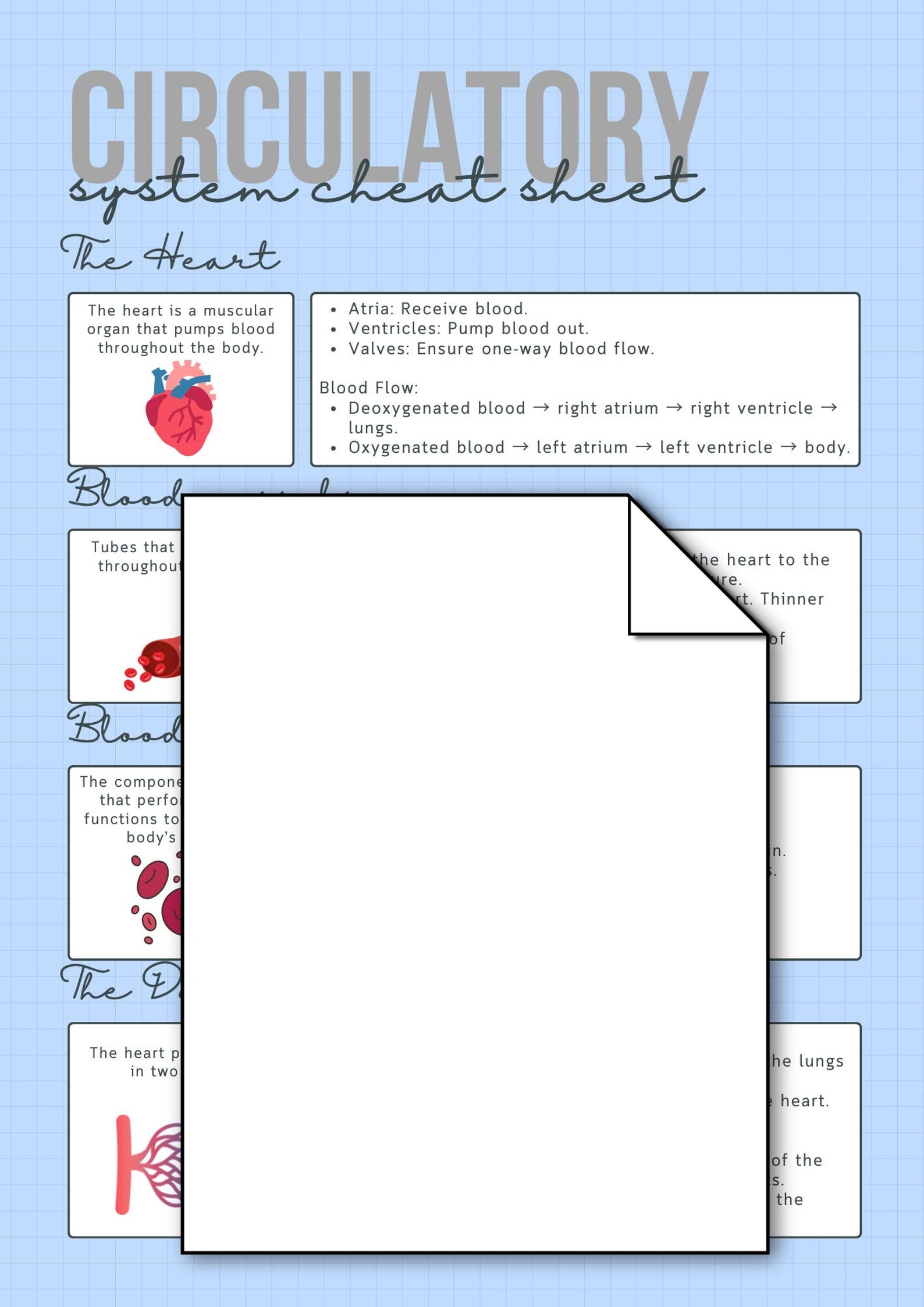 GCSE Biology Circulatory System Cheat Sheet | Printable Revision Guide ...