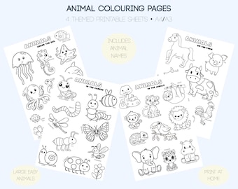Animal Colouring Pages for Kids | Jungle, Farm, Ocean & Garden | Toddler-Friendly Printable | Easy Animal Worksheets
