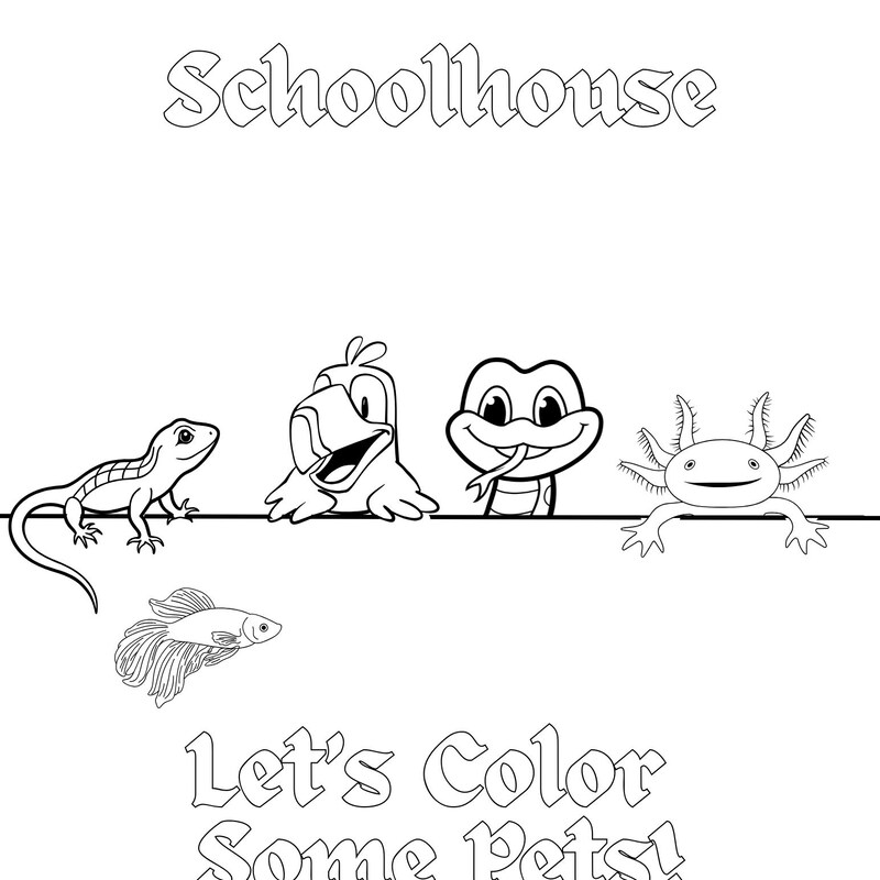 tamewildschoolhouse-etsy