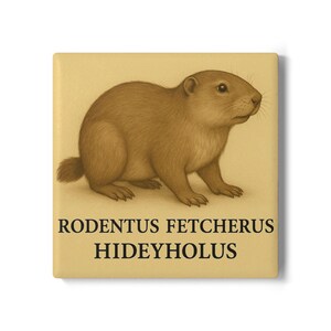 Funny Gopher Coaster with nonsense Latin caption