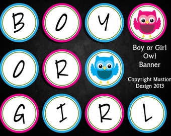 Owl Boy or Girl Banner for Gender Reveal Parties