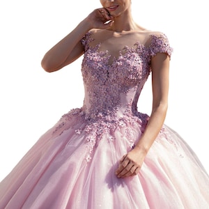 Quinceañera Dress Blush Pink with Floral Appliques, Ball Gown, Custom Made Sweet 15 Dress, Puffy Prom Dress XL
