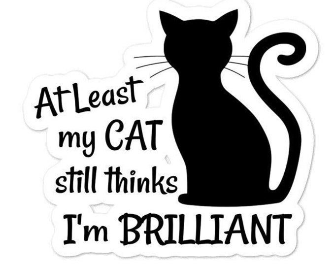 Funny Cat Sticker - Funny Cat Quote - Cat Lover Sticker - Funny Sticker - Cat Lover Gift - Cat Lover Sticker - Cat Laptop Decal