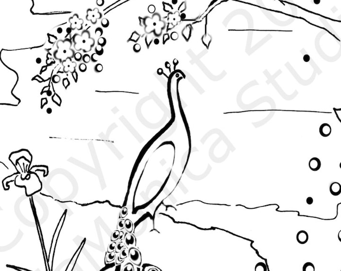 Digital Download Bird Art Peacock Coloring Page 11x17