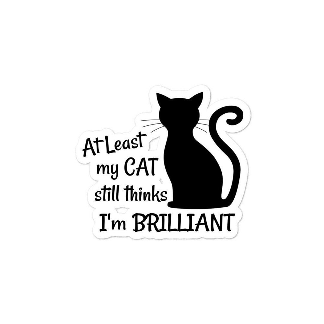 Funny Cat Sticker Funny Cat Quote Cat Lover Sticker Etsy