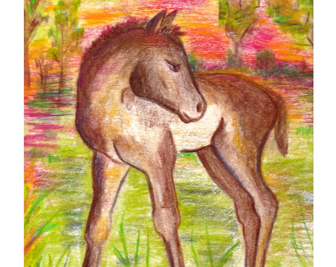 Baby Horse Animal Nursery Wall Art, Horse Lovers, Pony Foal Art Print, Colt Drawing Art Print