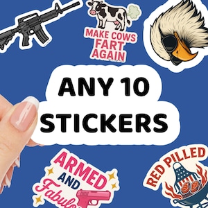 10 adesivos de vinil - Pacote de adesivos personalizados - Escolha seu próprio pacote - Presente perfeito para laptops, agendas, garrafas de água, Stanley e muito mais