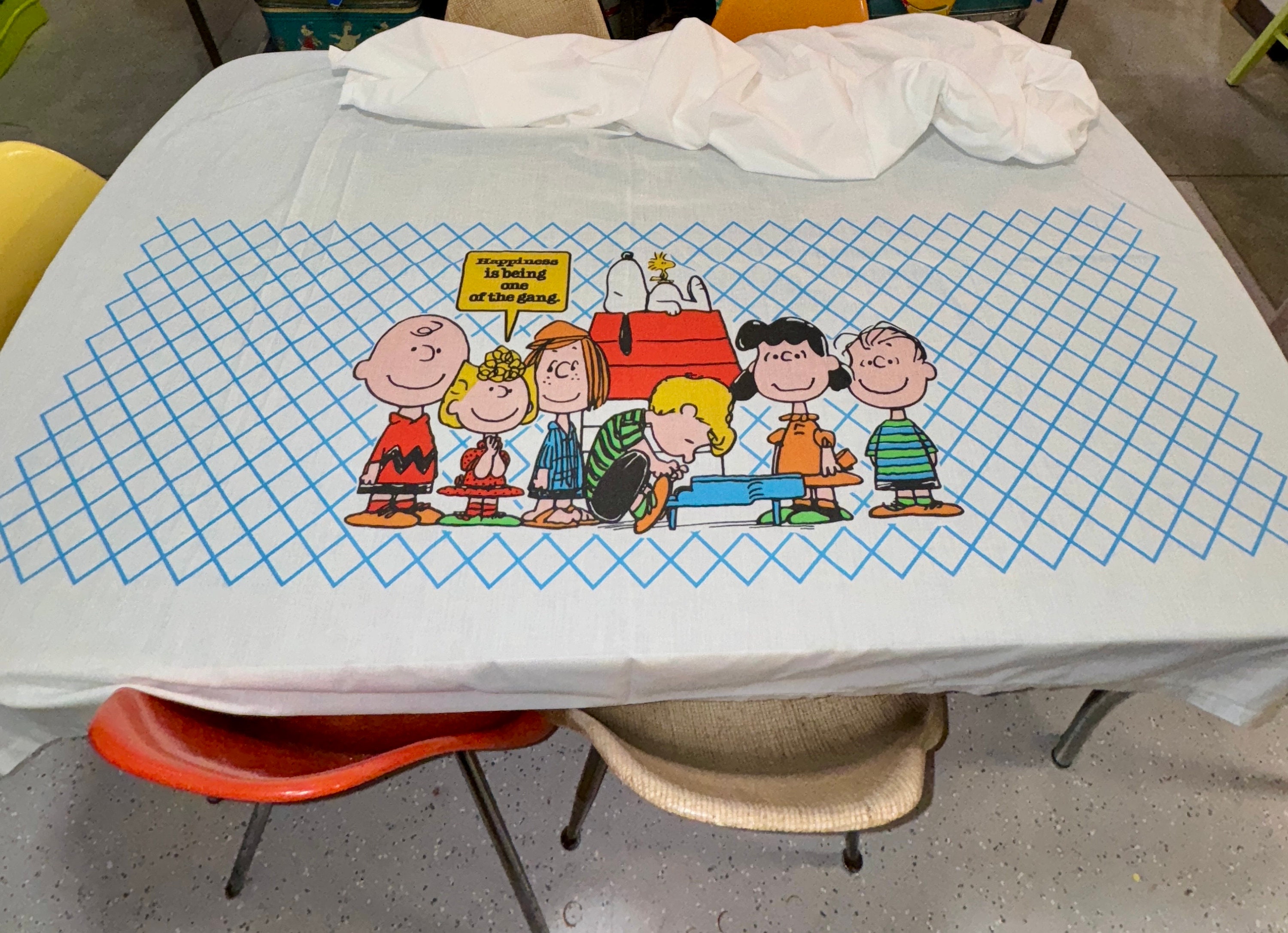 Vintage 1970's Peanuts by Schultz Charlie Brown and Snoopy Twin