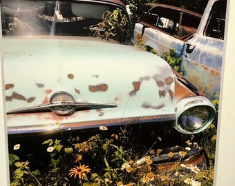 Archival matted art print of original photograph from my Americana series vintage junkyard cars and trucks photo