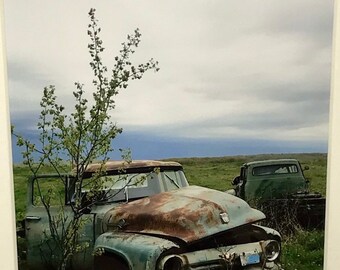 Archival matted art print of original photograph from my Americana series vintage junkyard cars and trucks photo