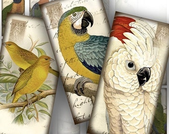 1x2 inch dominoes tile digital collage sheet images Victorian birds postcard download paper jewelry making supplies(054) BUY 3 GET 1 FREE