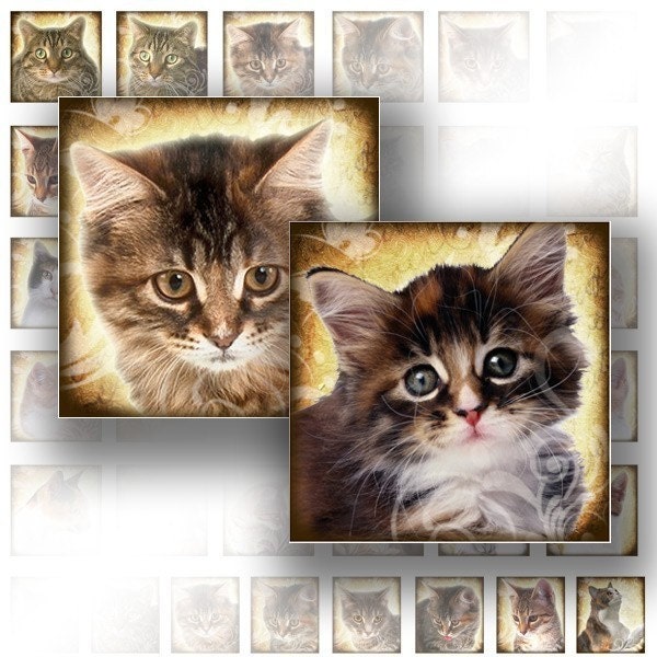 Scrabble tile digital collage sheet Cats kittens 1x1 inch art jewelry making paper supplies download image file (066) BUY 3 GET 1 FREE