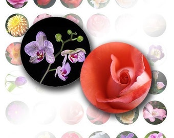 1 inch circle digital art collage sheet for bottle caps images jewelry making supplies download Colorful flowers (011) BUY 3 GET 1 FREE