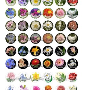 1 inch circle digital bottle cap art graphic downloads Birth flowers circles jewelry making supplies collage sheet 013 BUY 3 GET 1 FREE image 2