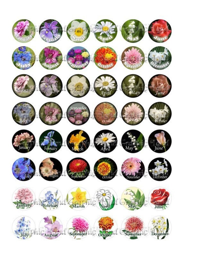 1 inch circle digital bottle cap art graphic downloads Birth flowers circles jewelry making supplies collage sheet 013 BUY 3 GET 1 FREE image 2
