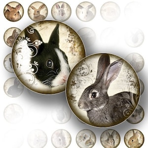 May include: Two round, vintage-style images featuring black and white rabbits with floral designs. The rabbits have long ears and are looking to the right. The images are on a white background.
