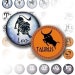 1 Inch Digital Bottle Cap Collage Sheet Zodiac Printable Graphics ...