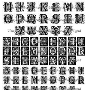 Puede incluir: Letras del alfabeto en blanco y negro con dise&ntilde;os florales ornamentados. Cada letra est&aacute; enmarcada en un cuadrado.
