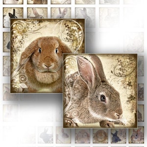 Digital collage sheets 1x1 inch scrabble tile digital art jewelry making paper supplies download  Rabbit Bunny (087) BUY 3 GET 1 FREE