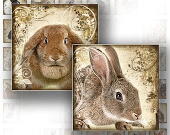 Digital collage sheets 1x1 inch scrabble tile digital art jewelry making paper supplies download  Rabbit Bunny (087) BUY 3 GET 1 FREE
