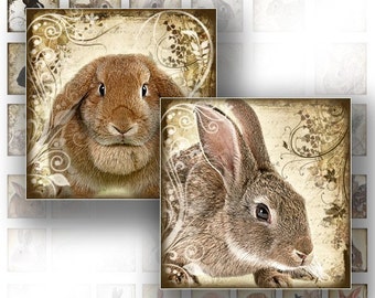 Digital collage sheets 1x1 inch scrabble tile digital art jewelry making paper supplies download  Rabbit Bunny (087) BUY 3 GET 1 FREE