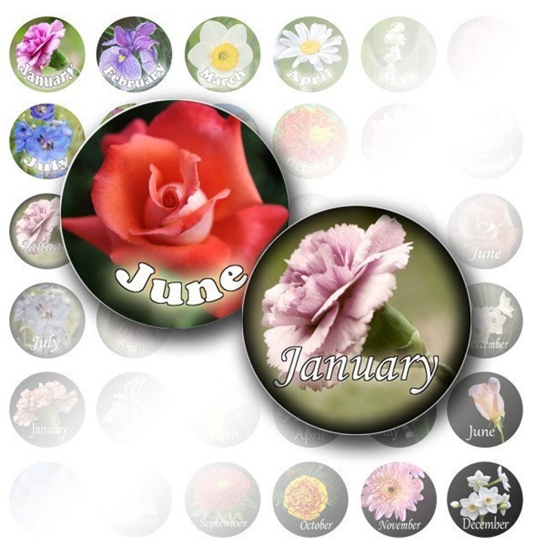 1 inch circle digital bottle cap art graphic downloads Birth flowers circles jewelry making supplies collage sheet 013 BUY 3 GET 1 FREE image 1