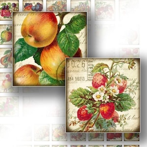 Op de afbeelding: Vintage stijl digitale collage sheet met illustraties van rode appels en aardbeien met groene bladeren en witte bloemen. De achtergrond is crèmekleurig met handgeschreven tekst in het Frans.