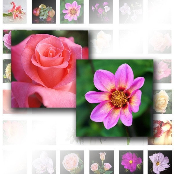 Digital Collage Sheet Scrabble Tile 1 Inch Square Colorful Flowers ...