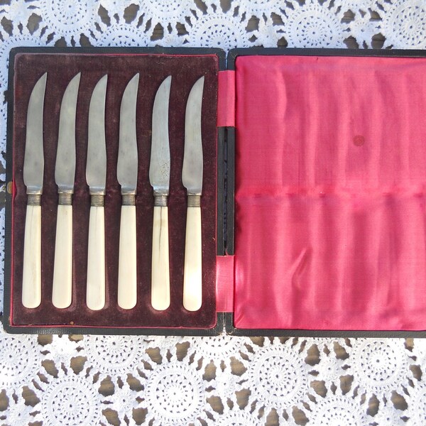 Bone Handle Knife Set