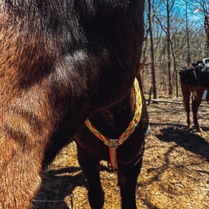 Handmade Paracord Breast Collar with Matching Reins
