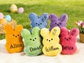 Personalized Peep Bunny Plush–Custom Name Easter Rabbit, Easter Basket Stuffer, Easter Gift for Kids – Make their Easter basket peep-tastic