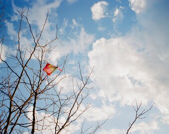 4x6" Postcard - Go Fly a Kite ~ ready to stamp, write, and mail!