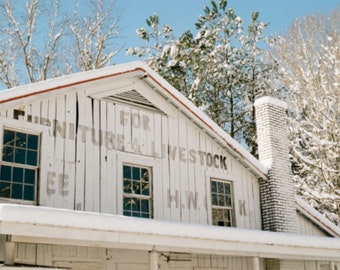 4x6" Postcard -Furniture & Livestock Pittsboro NC ~ ready to stamp, write, and mail!