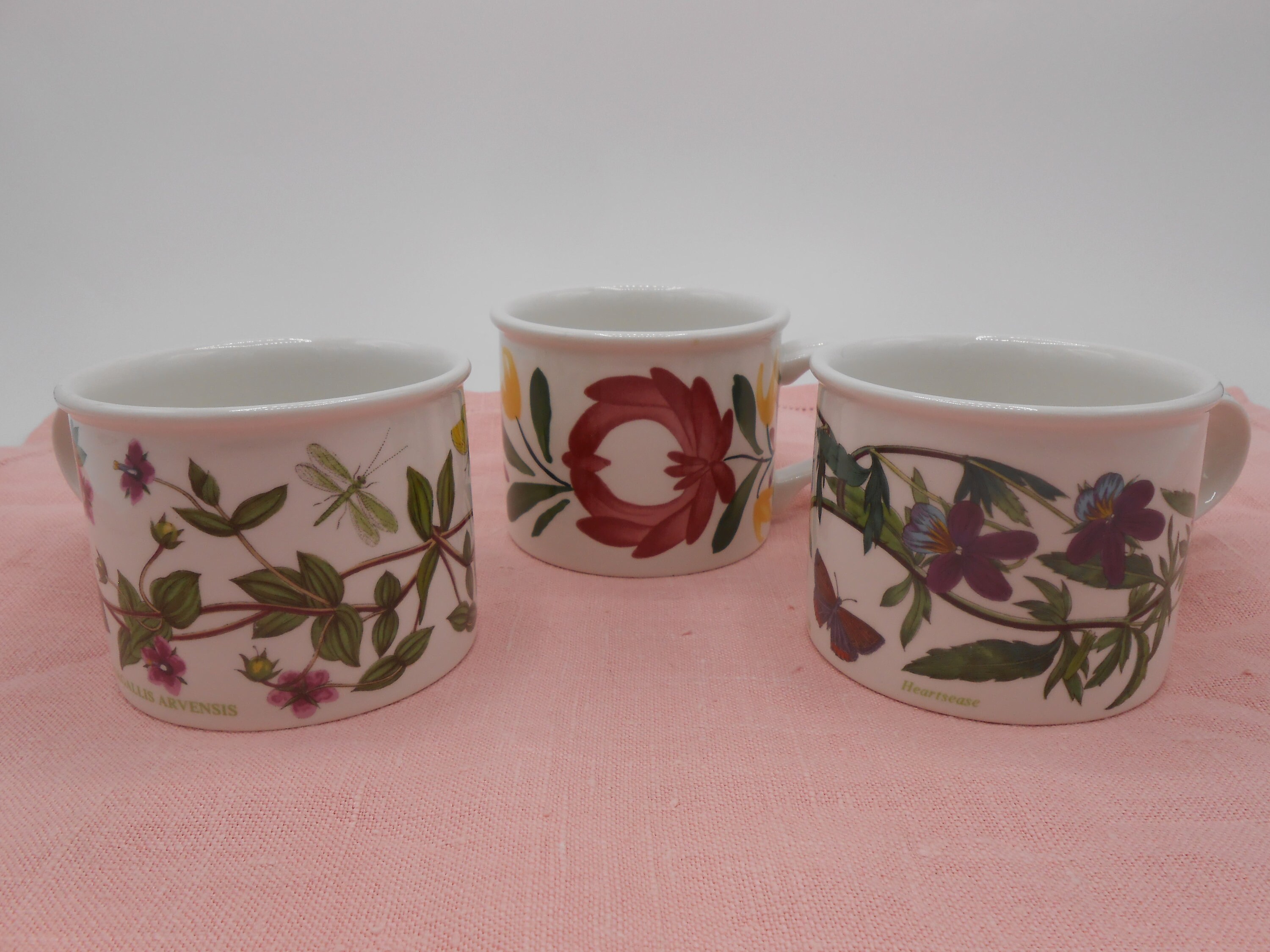 Botanic Garden 1818 - Etsy