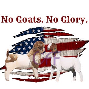 May include: A graphic featuring two goats in front of a distressed American flag. The goats are brown and white. The text "No Goats. No Glory." is above the flag in red.