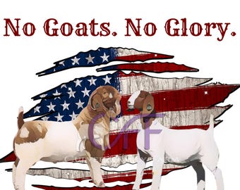 Puede incluir: Imagen con dos cabras frente a una bandera estadounidense desgastada. Las cabras son marrones y blancas. El texto "No Goats. No Glory." está sobre la bandera en rojo.