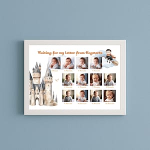 Affiche Harry Potter sur les étapes clés de la vie de bébé | Insert de cadre pour l'impression | Modèle de carte mensuelle Animaux de la forêt – téléchargement numérique