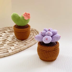 May include: Two crocheted cactus plants in brown pots. One is green with a pink flower, the other is purple. The pots are a warm brown color. The plants are on a woven mat.