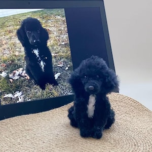 Specialtillverkade plyschleksaker för hundar och katter, handgjorda replikor av plyschdjur, perfekta som presenter till djurälskare och souvenirer till din älskade hund eller katt.