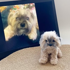 Puede incluir: Una pequeña figura de perro de peluche, en tonos marrón claro y gris. El juguete está colocado frente a una pantalla de ordenador portátil que muestra una foto de un perro similar. La figura está sobre una superficie tejida de color beige.