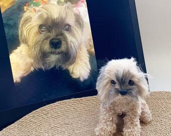 May include: A miniature plush dog toy in shades of light brown and grey, positioned in front of a laptop screen showing a photograph of a similar dog. The toy is placed on a woven, tan surface.