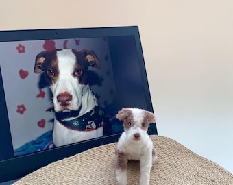 Custom plush dog, crocheted pet keepsake,dog memorial gift,cat memorial gift,lifelike dog,gift for dog lovers,custom plush toy,dog doll