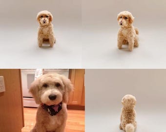 Benutzerdefinierte Häkelhund Benutzerdefinierte gefüllter Hund, gehäkelte Haustier Gedenkstätte, Look Alike Hund, personalisierte Hund, Geschenk für Hundeliebhaber, Benutzerdefinierte Kuscheltier
