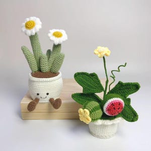 Może przedstawiać: Dwie szydełkowe dekoracje roślinne. Jedna to biała doniczka z uśmiechniętą buzią, trzymająca zielonego kaktusa z dwoma białymi i żółtymi kwiatami. Druga to biała doniczka z arbuzem i innymi zielonymi roślinami.